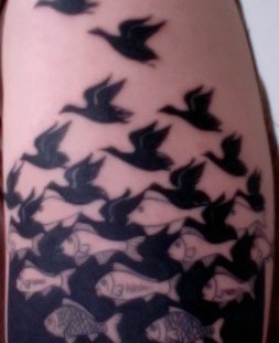 black ink fish lake and birds