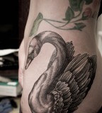 huge swan tattoo by M-X-M