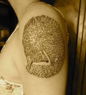 liam sparkes tattoo curled fox on upper arm