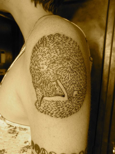 liam sparkes tattoo curled fox on upper arm