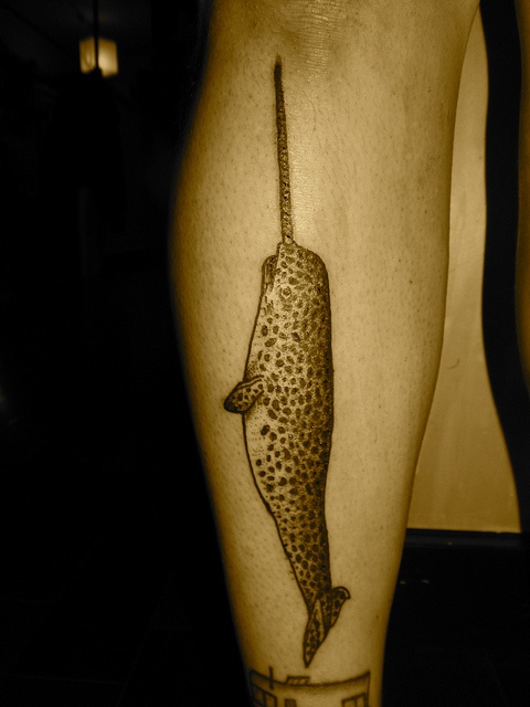 liam sparkes tattoo narwhal