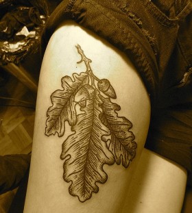liam sparkes tattoo oak leaves