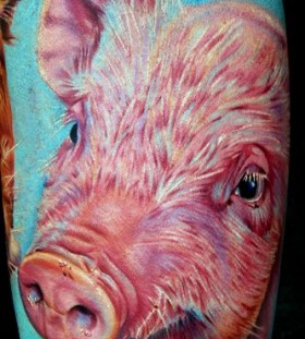 Cute pig photorealistic tattoo