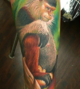 Pretty monkey tattoo by Zhivko Baychev