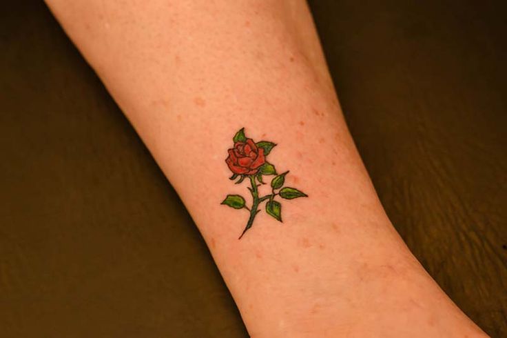 little  Rose tattoo