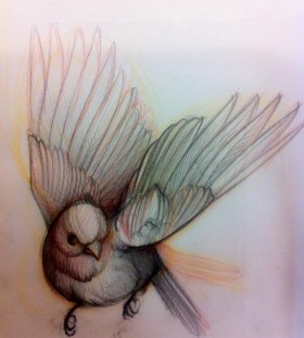 tattoo sketch bird