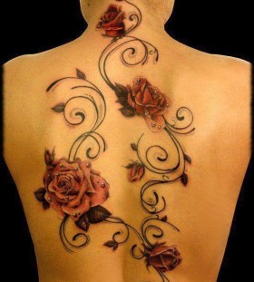 4 red roses on the back