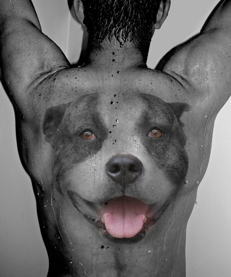 Amazing 3D tatto with dog face