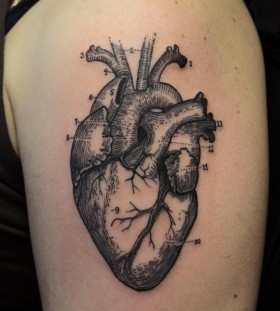 Anatomical heart sleeve tattoo