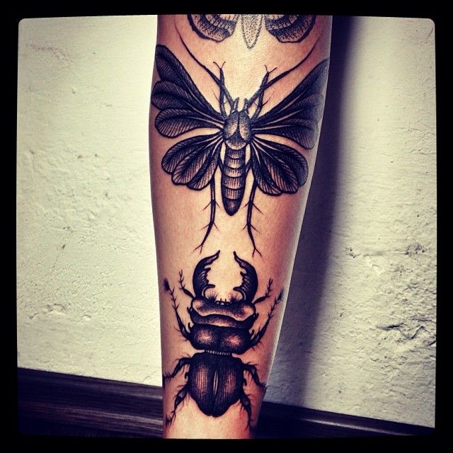 Awesome bug tattoo