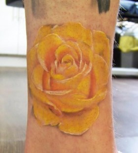 Beautiful yellow rose on arm