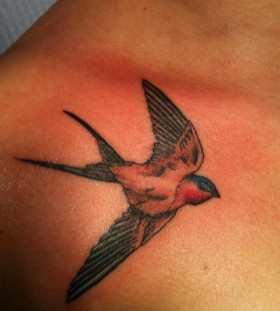 Birds tattoo by Hania Sobieski