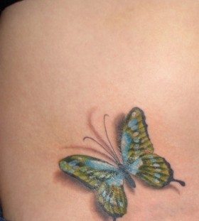 Butterfly colored