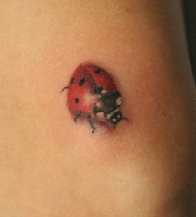 Cute ladybird bug tattoo