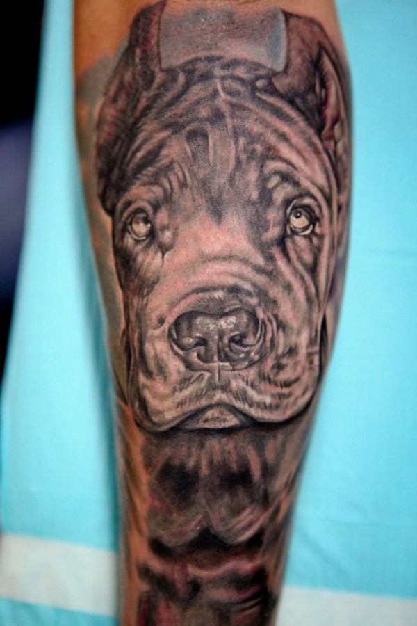 Dog tattoo by Seunghyun JO aka Potter