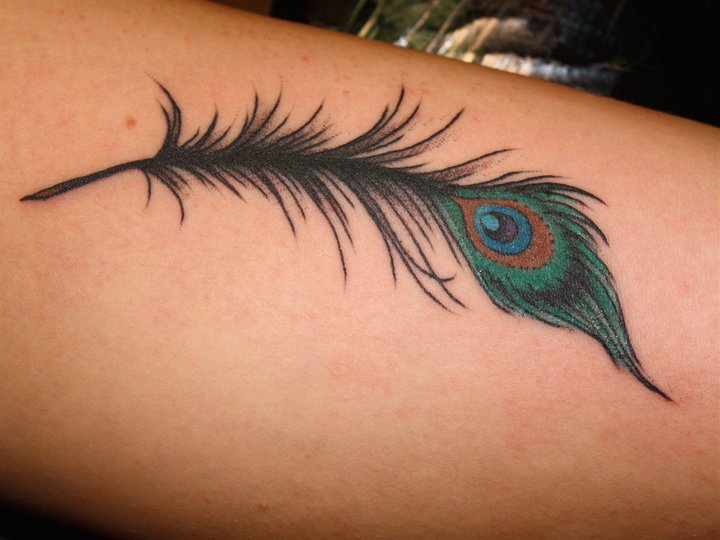 Feather tattoo by Mike Schweigert