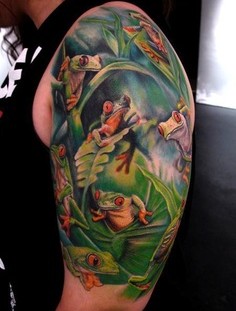 Frogs on the shoulder