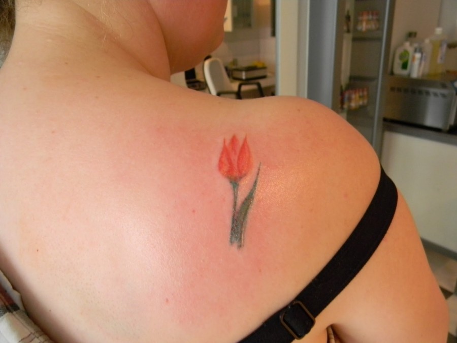 Little red tulip on back