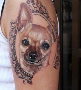 Nice dog portret on the hand