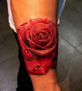 Rose tattoo by Seunghyun JO aka Potter