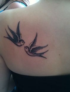 Two swallows on the back