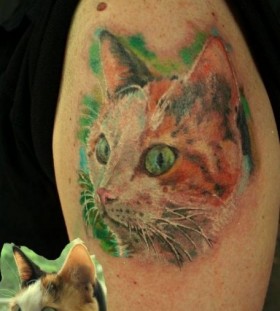 Watercolor cat tattoo