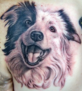 Wonderful black and white dog tattoo