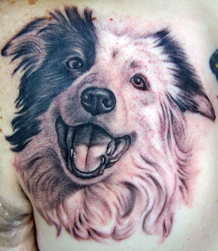 Wonderful black and white dog tattoo