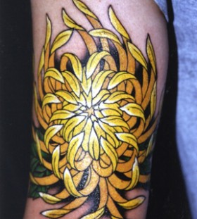 Yellow-Chrysanthemum-Tattoo-On-Back-Of-Arm
