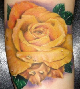 Yellow-rose-tattoo-721x900