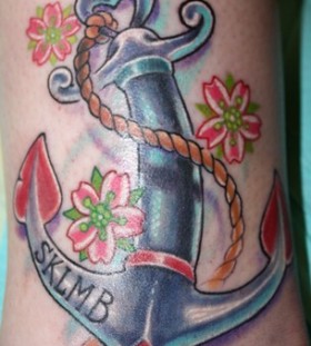 amazing anchor