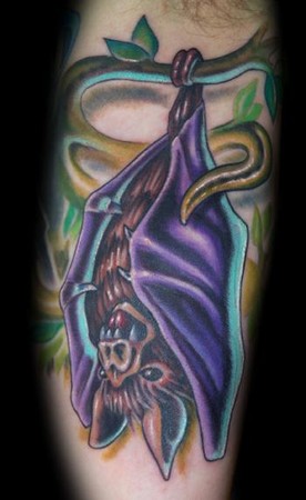 attractive bat on arm