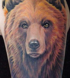 beautiful colored bear