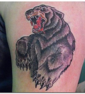 blooding bear