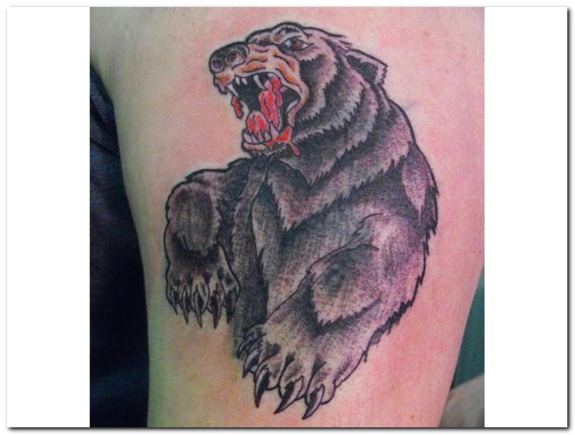 blooding bear