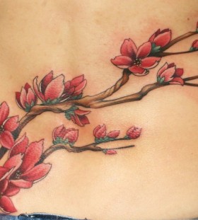 cherry blossoms onthe body