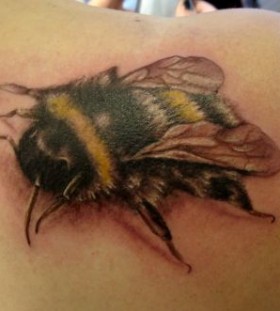 fat bee
