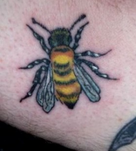 nice bee