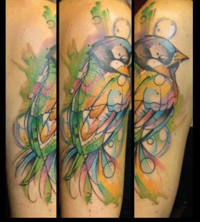 watercolor bird