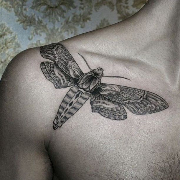 Butterfly tattoo by Chaim Machlev