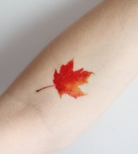 Canada red leaf tattoo