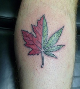 Canadian red and green leaf tattoo