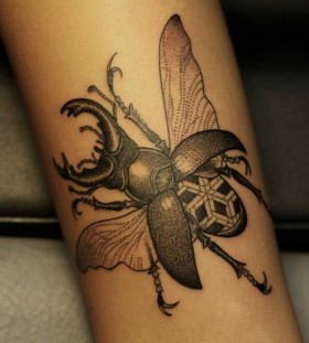 Coolinsect tattoo