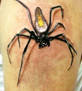 Great insect tattoo