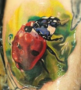Ladybird insect tattoo