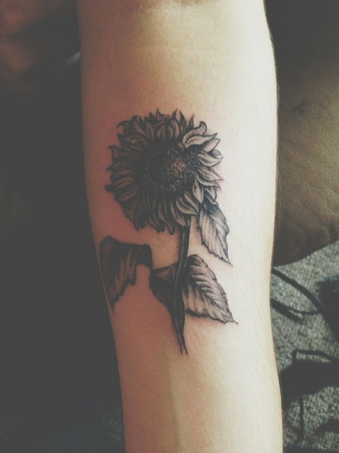 Sunflower wild tattoo