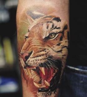 Adorable lovely tiger tattoo on arm