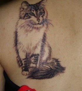 Adorable simple cat tattoo on arm