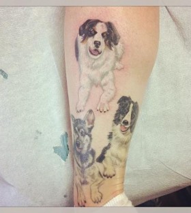 Adorable three dogs tattoo on leg