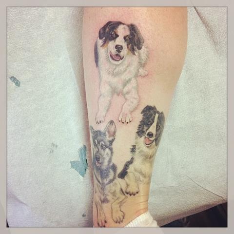 Adorable three dogs tattoo on leg
